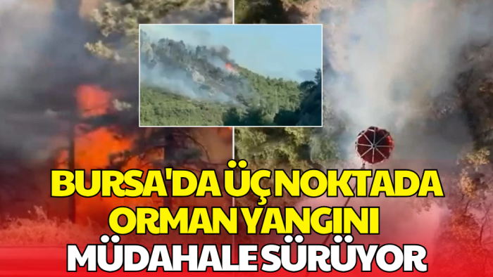 Uludağ'ın Eteklerinde Yangın! 3 Farklı Noktada Orman Yangını Çıktı